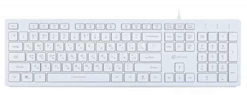 Keyboard Oklick 550ML (White, Slim, Multimedia LED, USB)