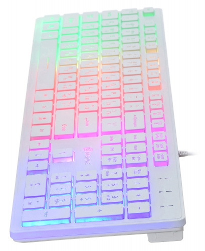 Ստեղնաշար Oklick 550ML (White, Slim, Multimedia LED, USB)