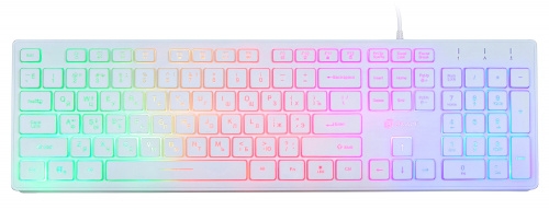 Keyboard Oklick 550ML (White, Slim, Multimedia LED, USB)