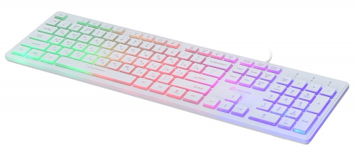 Keyboard Oklick 550ML (White, Slim, Multimedia LED, USB)