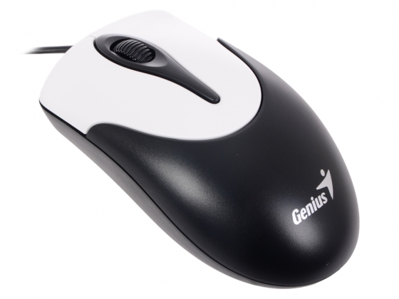 Mouse Genius NetScroll 100 V2 (USB, Black)