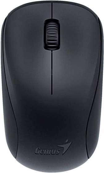 Мышь беспроводная Genius NX-7005 (USB, Black)