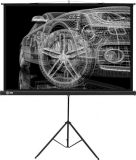 Экран для проектора Cactus Triscreen CS-PST-124x221 (124x221cm, 16:9, напольный)